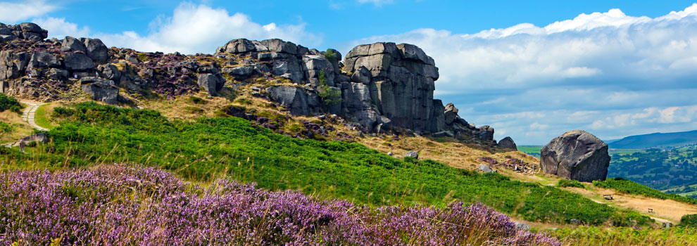 Ilkley-Moor